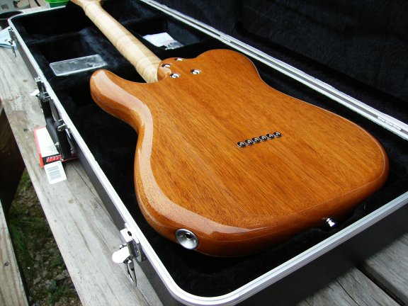 back of guitar body showing jack and neck bolts