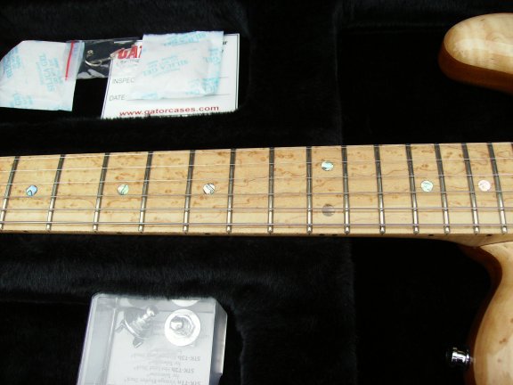 Jaros guitar neck showing inlays